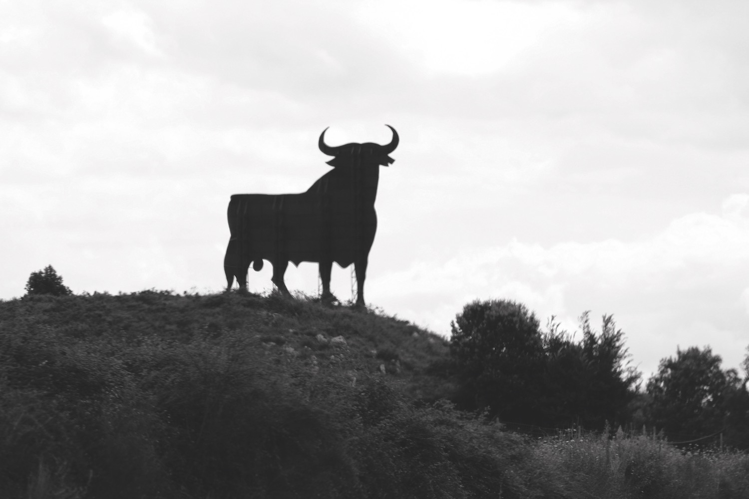 Osborne bull, Costa del Sol